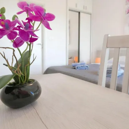 Apartman Penthouse Ivo & Ana Pirovac